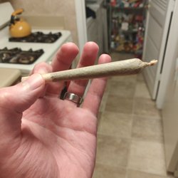 Herb'n Holistic - D8 200MG pre-roll