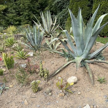 Halifax Public Gardens - Botanical Gardens Near Me - Halifax, Nova Scotia