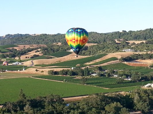 Napa Valley Aloft Hot Air Balloon Rides by null