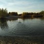 Photo of Middenvijver