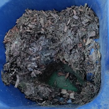 Waste Connections Inc - Leaves in the trash bin that waste connections wanted to charge $35 for them to come back and dump AFTER I stirred them up. RIDICULOUS. - Dumpster Rental Near Me - Wichita, Kansas Waste Connections Inc - Leaves in the trash bin that waste connections wanted to charge $35 for them to come back and dump AFTER I stirred them up. RIDICULOUS. - Dumpster Rental Near Me - Wichita, Kansas