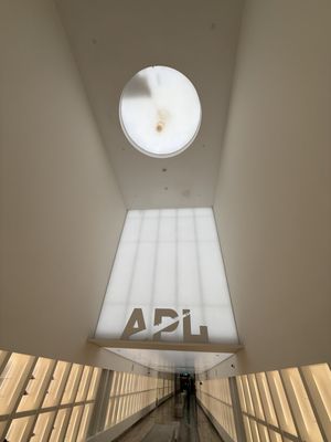 APL - Athletic Propulsion Labs by null