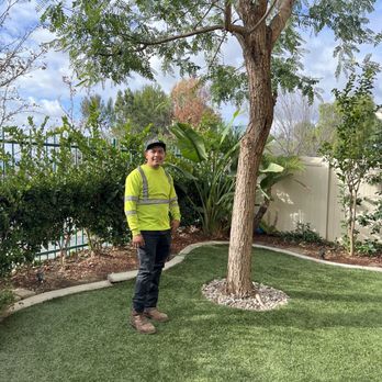 Active Landscape And Tree Service - Tree Services Near Me Active Landscape And Tree Service - Tree Services Near Me