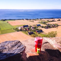 Brahehus - Ruin with a view, august 2015
