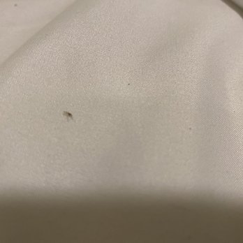 Lazy Guest House - Bug on the sheets - Hostels Near Me - Vieques, Puerto Rico