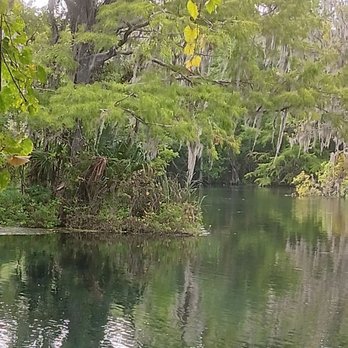 Silver Springs State Park - Parks Near Me - Ocala, Florida Silver Springs State Park - Parks Near Me - Ocala, Florida