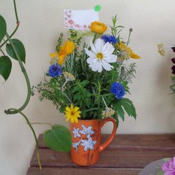 Flowers by Lani