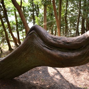 Fayette State Park - Parks Near Me - Garden, Michigan