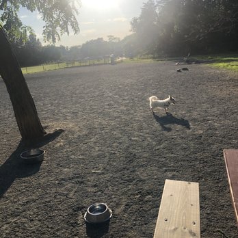 Mason District Dog Park - Weekday Evening playtime. Come about an hour before sunset. There are usually 30+ regulars that come nearly every day. - Pets Near Me - Annandale, Virginia Mason District Dog Park - Weekday Evening playtime. Come about an hour before sunset. There are usually 30+ regulars that come nearly every day. - Pets Near Me - Annandale, Virginia