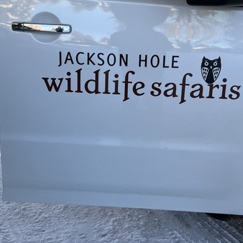 Jackson Hole Wildlife Safaris - Tours Near Me - Jackson, Wyoming