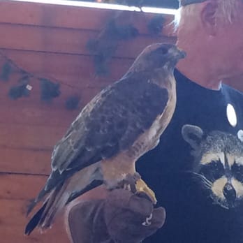 Wildhaven Ranch - Zoos Near Me - Cedar Glen, California