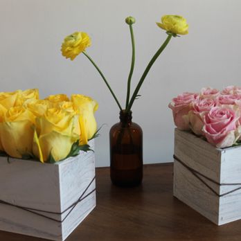 Flower Power Miami - Mini cubes - Florists Near Me Flower Power Miami - Mini cubes - Florists Near Me