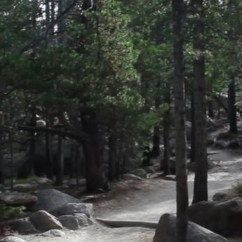 Alberta Falls - Rocky Mountain National Park is just about epic peaks? Alberta Falls proves otherwise. Rees's Roots - Hiking Near Me Alberta Falls - Rocky Mountain National Park is just about epic peaks? Alberta Falls proves otherwise. Rees's Roots - Hiking Near Me
