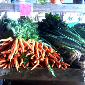 Rottcamp Brothers Farm - Rottkamp Bros. Farm carrots - Farmers Market Near Me - Glen Head, New York Rottcamp Brothers Farm - Rottkamp Bros. Farm carrots - Farmers Market Near Me - Glen Head, New York