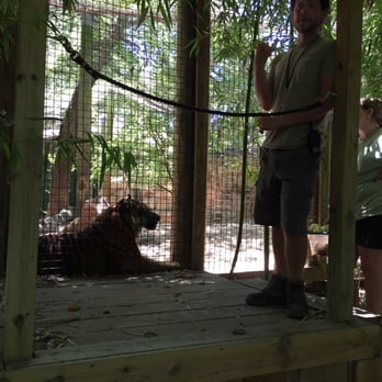Cameron Park Zoo - Awesome Tiger Zookeeper Talk :) - Zoos Near Me - Waco, Texas