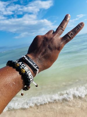 Dolphins Beach by null