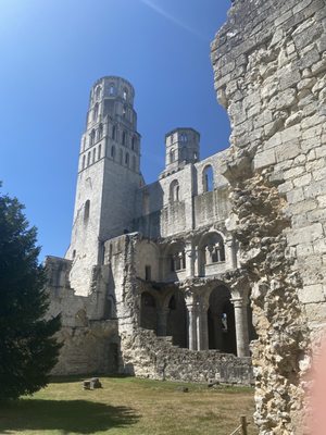 Abbaye de Jumièges by null