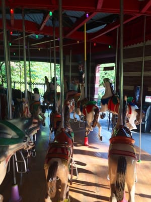 Central Park Carousel by null