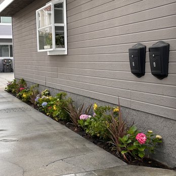 Amado Landscaping - New landscaping with drip system - Landscaping Near Me - Hawthorne, California