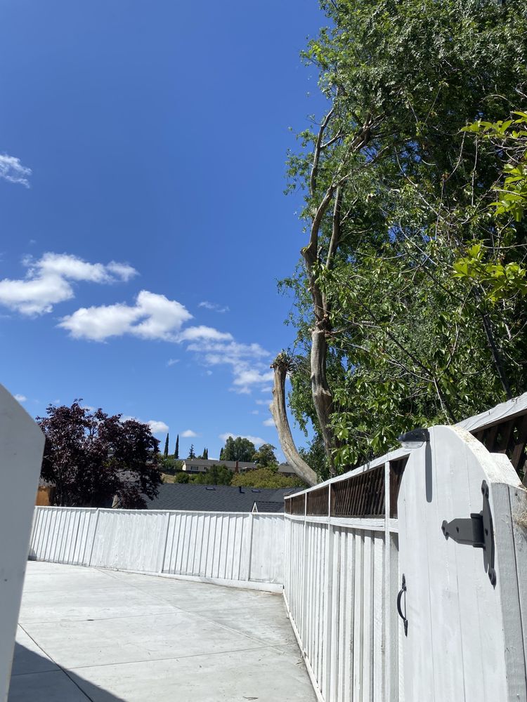 Slide of Ramirez Tree Service 