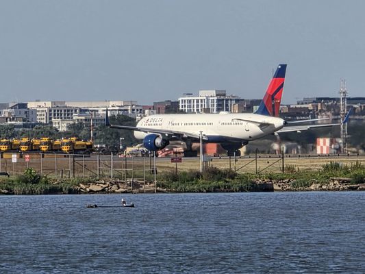 Washington Sailing Marina by null