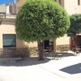 Photo of Atípic