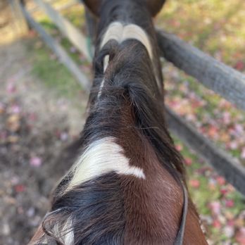 Sheeder Mill Farm - Horse trail riding - Horseback Riding Near Me - Spring City, Pennsylvania