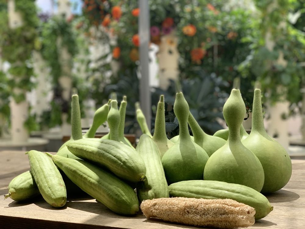 Agrotonomy Tower Farms