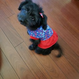 Maggie after her first groom!