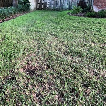 Nvirotect Pest Control Services - Pest Control Near Me - Lutz, Florida Nvirotect Pest Control Services - Pest Control Near Me - Lutz, Florida