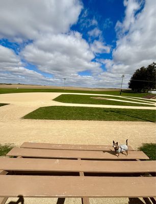 Field of Dreams Movie Site by null