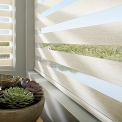 JC Licht Benjamin Moore Paint and Decor Store - Glenview - Hunter Douglas Designer Banded Shades