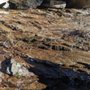 Photo of Little River Canyon National Preserve