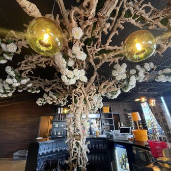 The Wine Garden - Bar area - Wine Bars Near Me - Las Vegas, Nevada