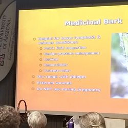 Arizona Herb Association - Ocotillo is one of tonight's topics.