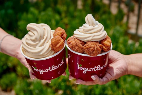 Yogurtland Boca Park by null