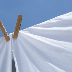 The Sleep Shop - Organic sheets... the more you wash thme the softer they feel!