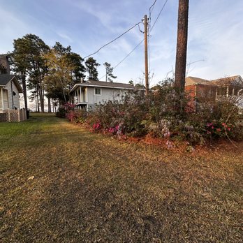 Forestry Grove Tree Service - Tree Services Near Me Forestry Grove Tree Service - Tree Services Near Me