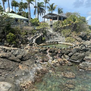 Coral World Ocean Park - Aquariums Near Me - St Thomas, Virgin Islands