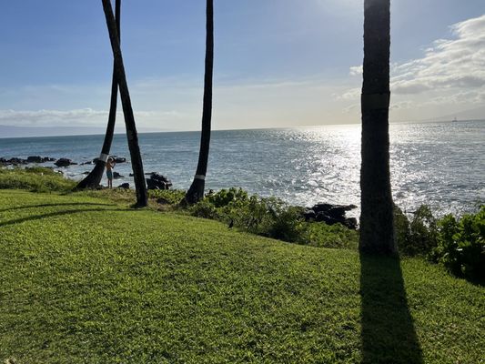 Noelani Condominium Rental Association by null