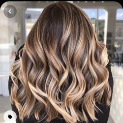 3 Wild Hairs Studio - The picture I showed her for my color