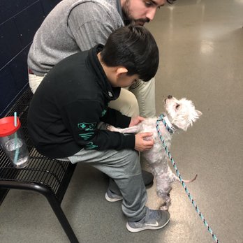 CMPD Animal Care and Control - Sweet boy wants to go to a good home. - Animal Shelters Near Me - Charlotte, North Carolina CMPD Animal Care and Control - Sweet boy wants to go to a good home. - Animal Shelters Near Me - Charlotte, North Carolina
