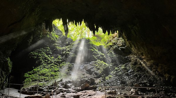 Parque Nacional de las Cavernas del Río Camuy by null