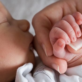 Greener Cleaner - Ask about our New Mommy Clean that's safe for the babys - Home Cleaning Near Me - Beverly Hills, California Greener Cleaner - Ask about our New Mommy Clean that's safe for the babys - Home Cleaning Near Me - Beverly Hills, California