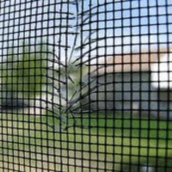 That Screen Guy - Windows Installation Near Me That Screen Guy - Windows Installation Near Me