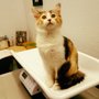 Photo of Summer Valley Veterinary Clinic