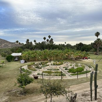 Tamarindos - View of garden from the bar - Mexican Near Me - San José del Cabo, BCS
