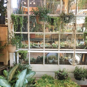 Terrain Cafe - Lovely display featuring greens on both sides of a window pane - New American Near Me - Westport, Connecticut Terrain Cafe - Lovely display featuring greens on both sides of a window pane - New American Near Me - Westport, Connecticut