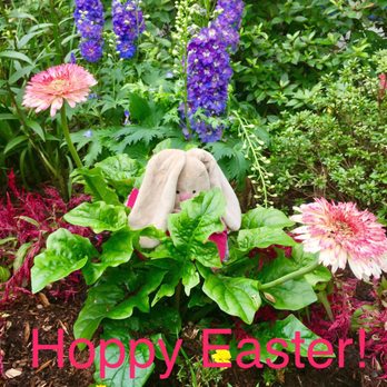 Buchanan's Native Plants - I love my flowers. - Nurseries & Gardening Near Me - Houston, Texas