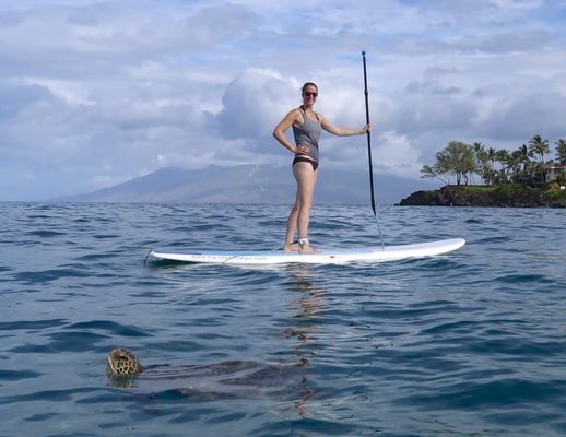Turtle Town SUP Rentals by null